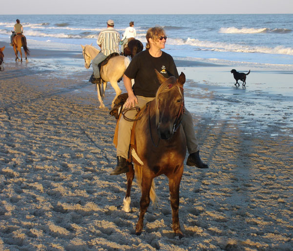 Equestrian Travel Articles American Heart Ociation Myrtle Beach American Heart Ociation Myrtle Beach Horseback Ride